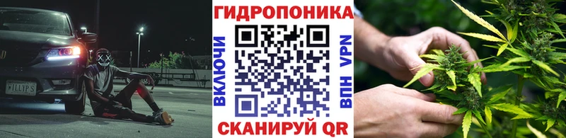 наркошоп Свирск Канабис ГИДРОПОН